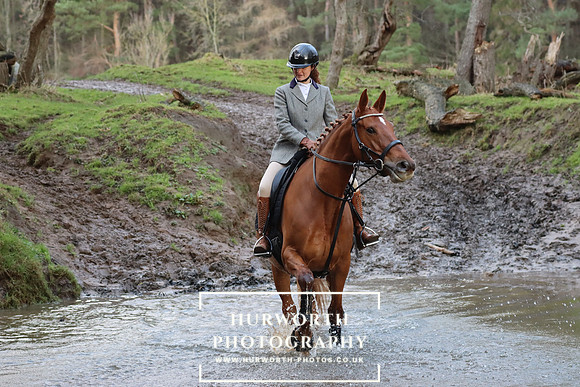 Hurworth Hunt 745