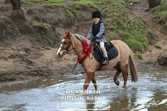 Hurworth Hunt 786