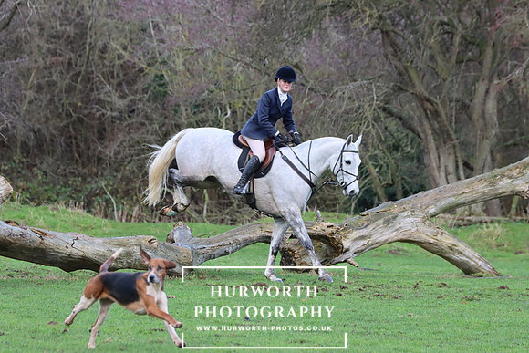 Hurworth Hunt 1113