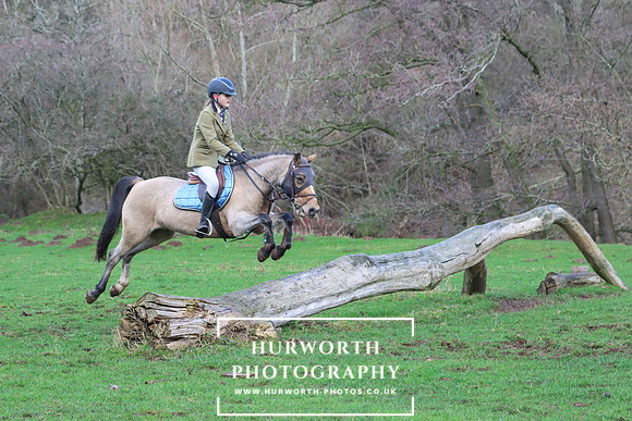 Hurworth Hunt 1138