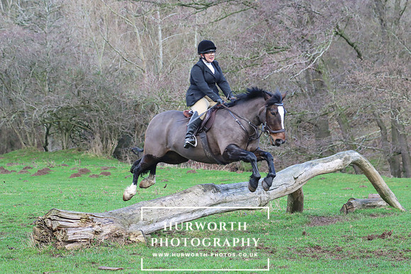 Hurworth Hunt 1173