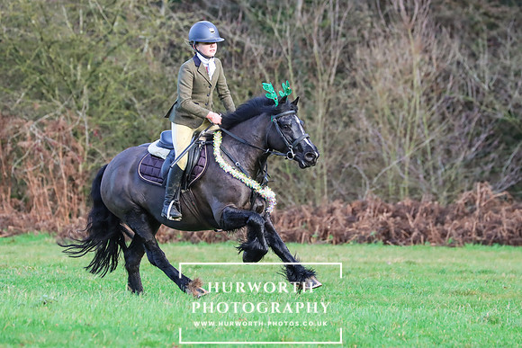 Hurworth Hunt 1237