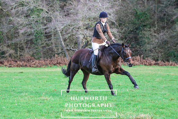 Hurworth Hunt 1246