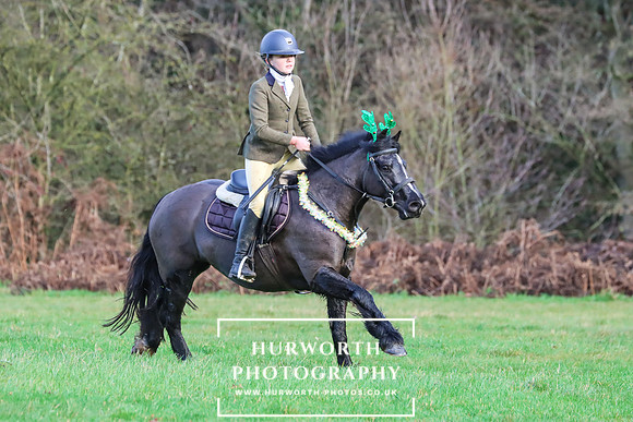 Hurworth Hunt 1238