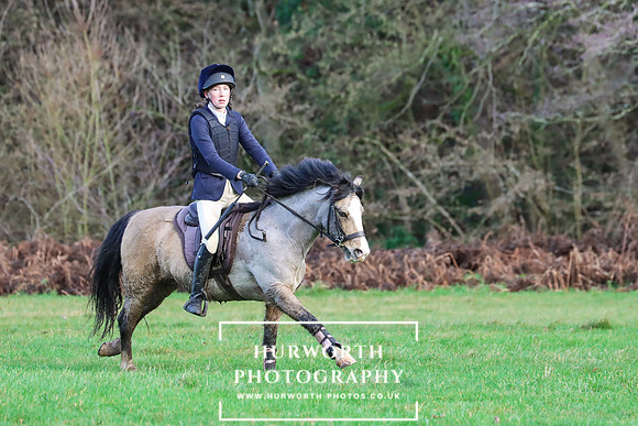 Hurworth Hunt 1243