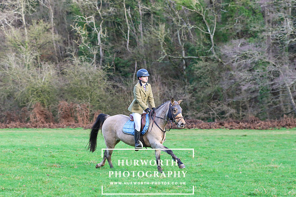Hurworth Hunt 1252