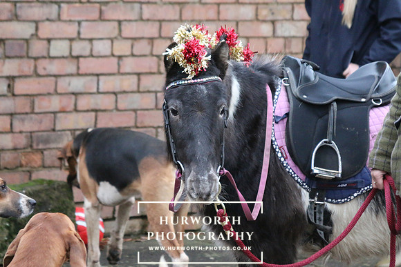 Hurworth Hunt 23