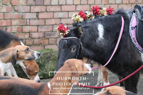 Hurworth Hunt 22