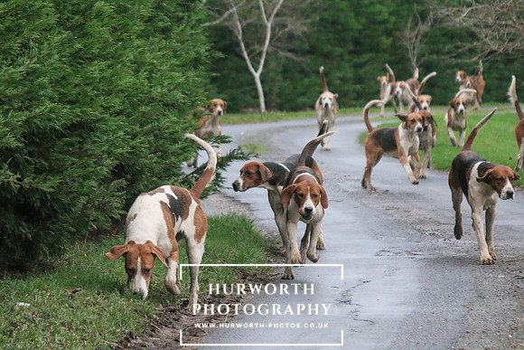 Hurworth Hunt 123
