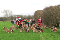 Hurworth Hunt 210