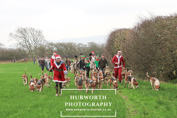 Hurworth Hunt 209