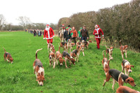 Hurworth Hunt 216