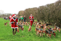 Hurworth Hunt 215