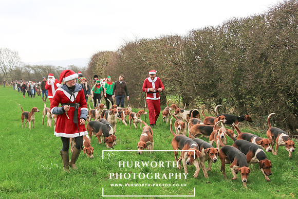 Hurworth Hunt 215
