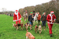 Hurworth Hunt 218