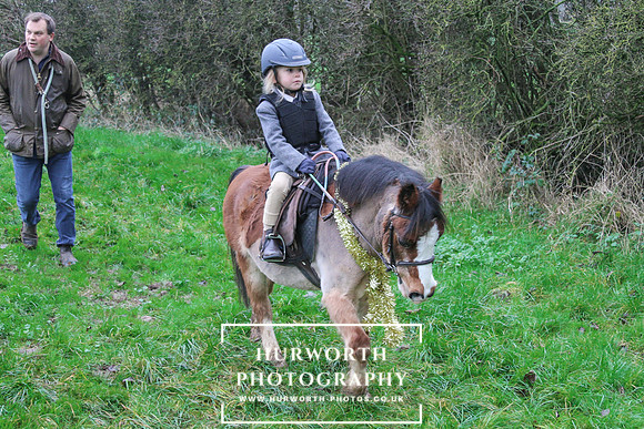 Hurworth Hunt 290