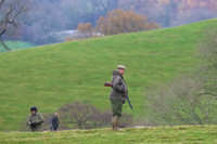 Game Shooting 11