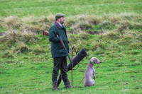 Game Shooting 20