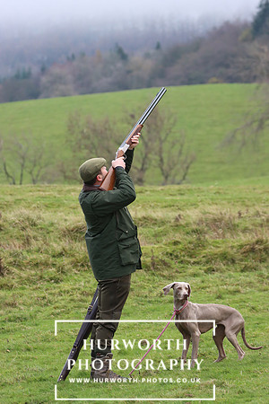 Game Shooting 31