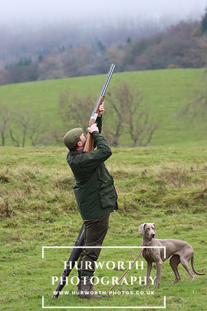 Game Shooting 33