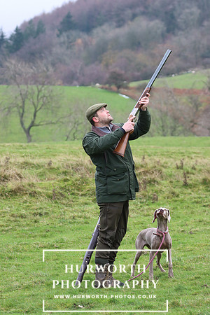 Game Shooting 41
