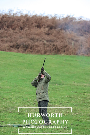 Game Shooting 43