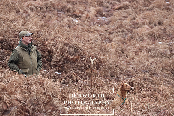 Game Shooting 115