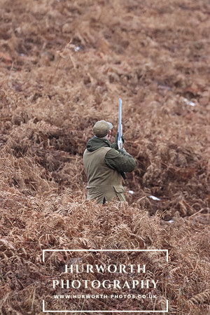 Game Shooting 117