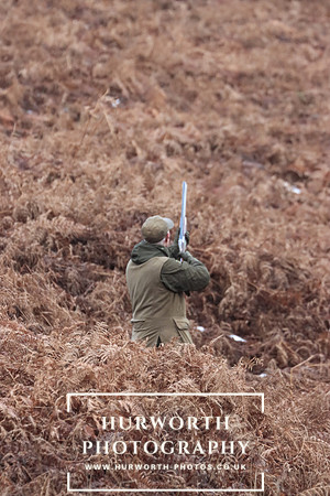 Game Shooting 116