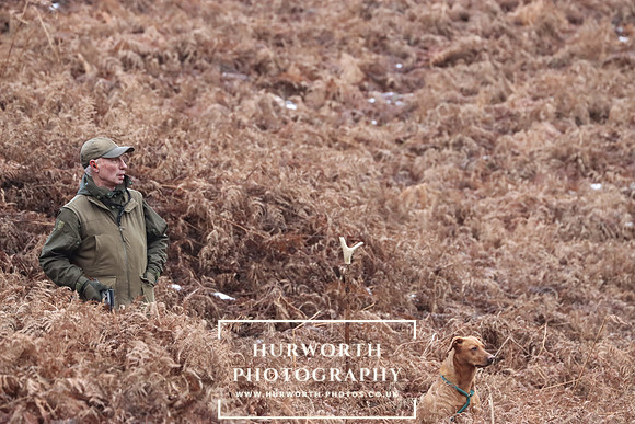 Game Shooting 114