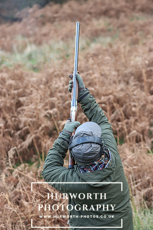 Game Shooting 123