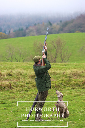 Game Shooting 24