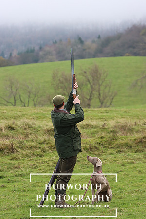 Game Shooting 25
