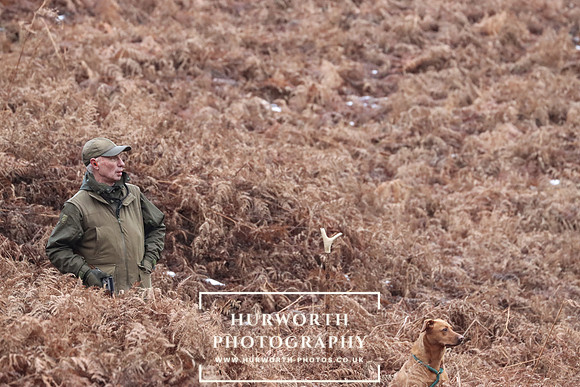 Game Shooting 113