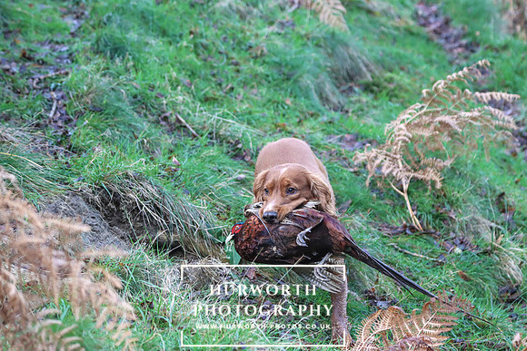 Game Shooting 189