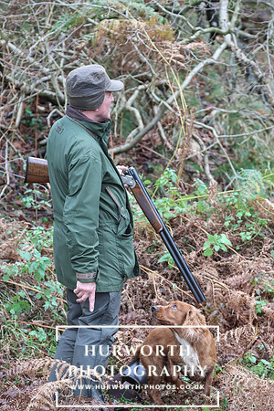 Game Shooting 260
