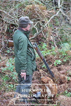 Game Shooting 261