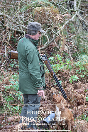 Game Shooting 262