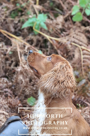 Game Shooting 269