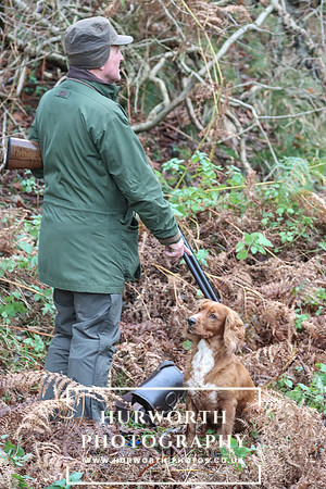 Game Shooting 267
