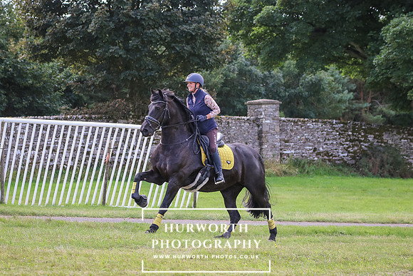 Hurworth Pleasure Ride 300