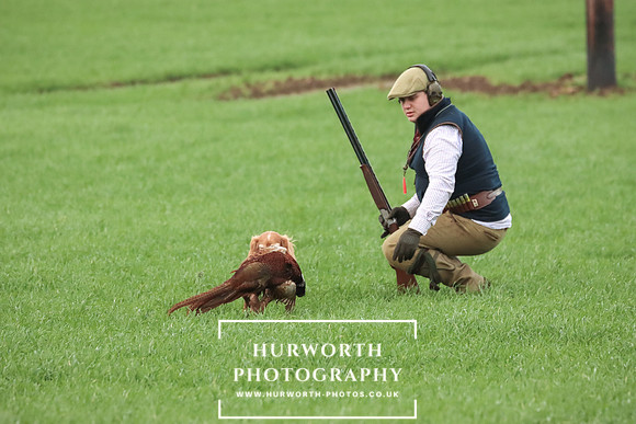 Game Shooting 461