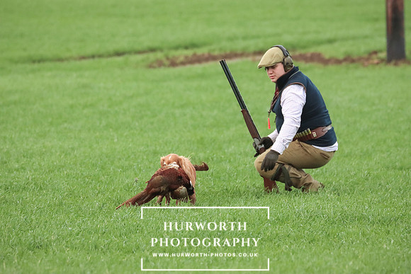 Game Shooting 462
