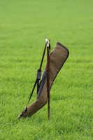 Game Shooting 439