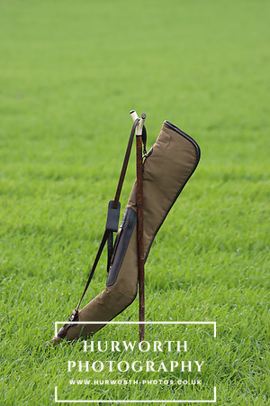 Game Shooting 439