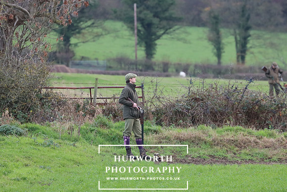 Game Shooting 441
