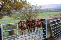 Broughton Banks Shoot 22.11.25
