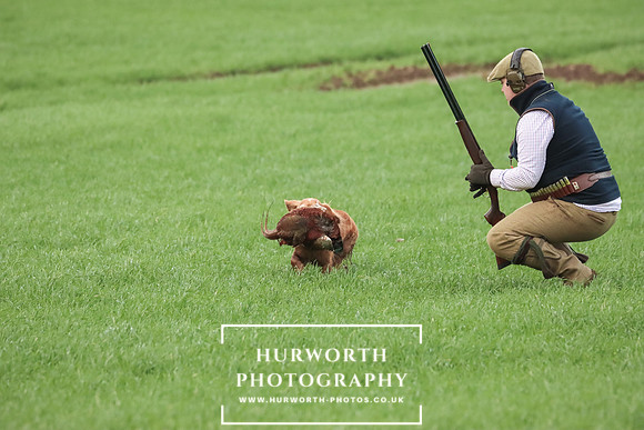 Game Shooting 457