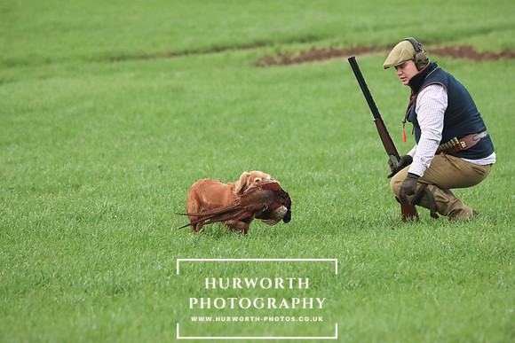 Game Shooting 460