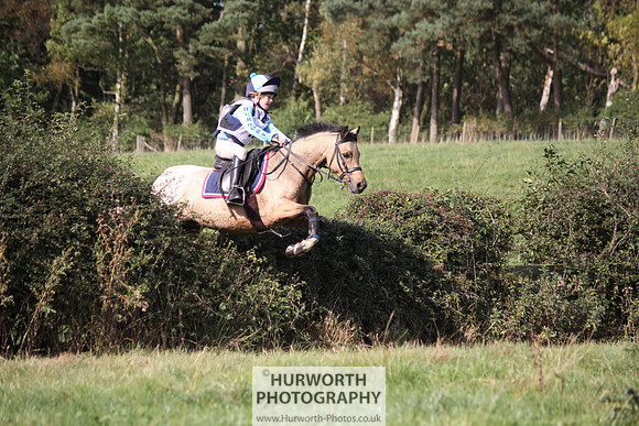 Hurworth Bilsdale Hedge Hop 314